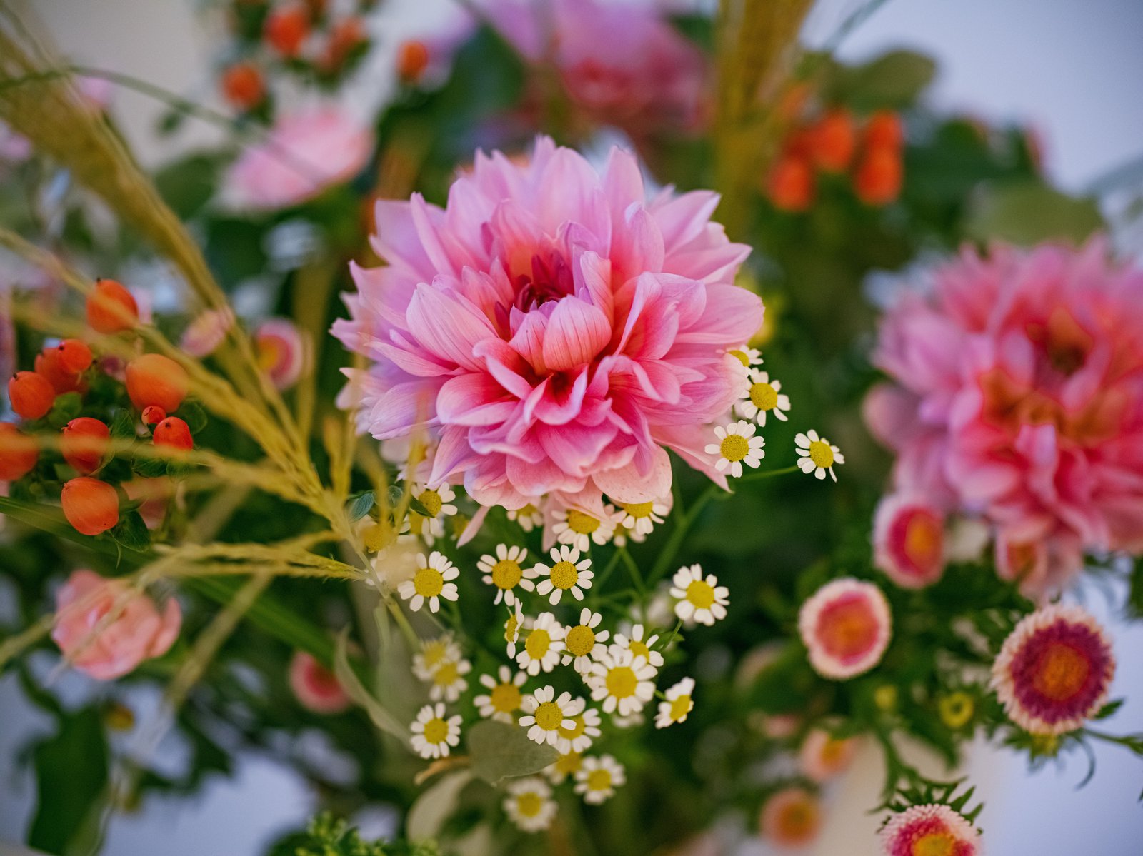 A vibrant bouquet features pink dahlias, small white daisies, orange berries, and green foliage.