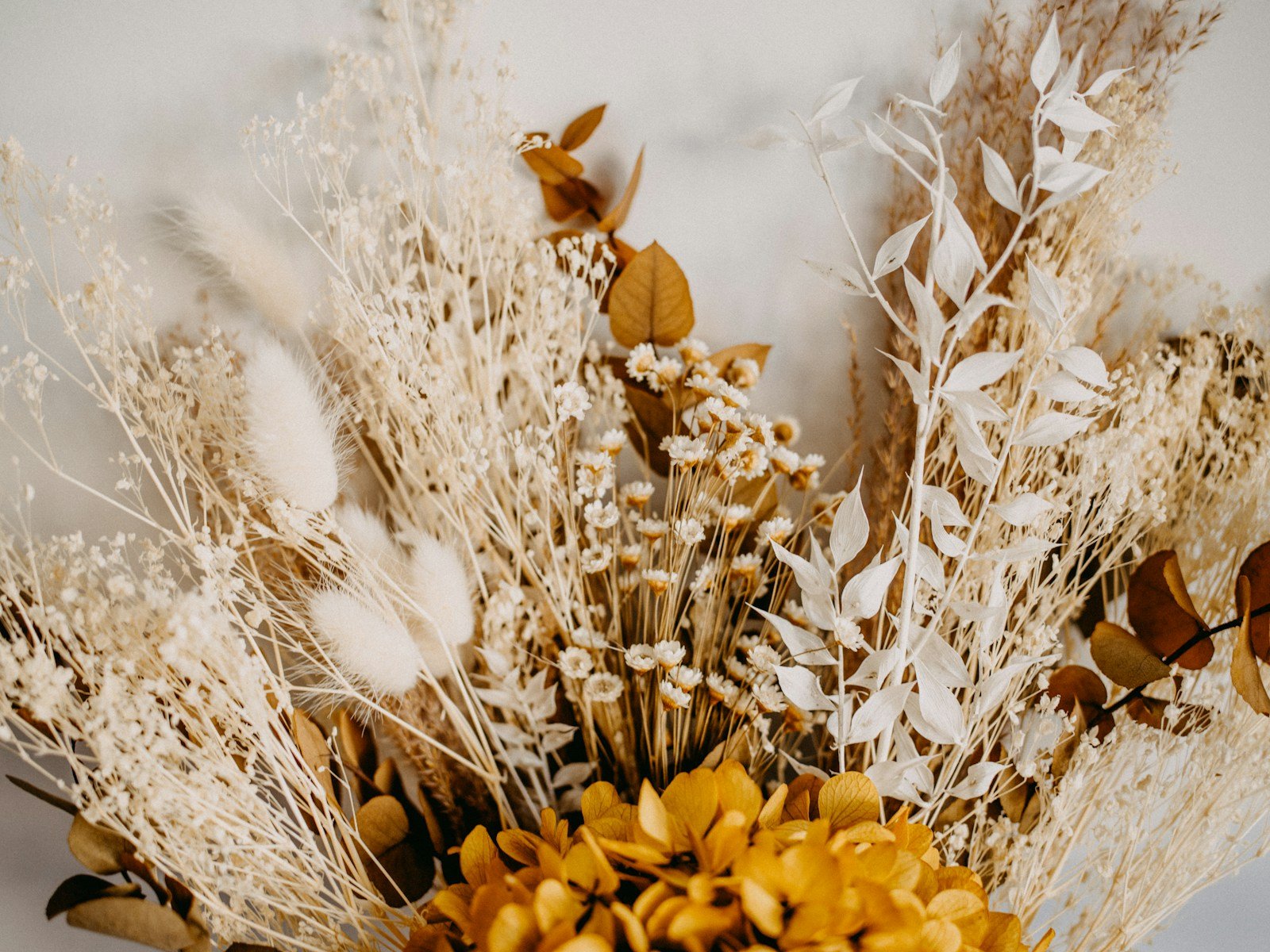A bouquet of dried flowers in shades of cream, white, brown, and golden yellow against a light wall.