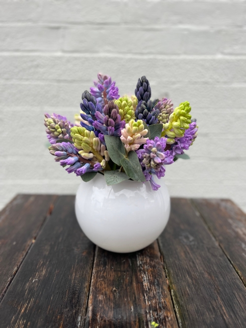 Hyacinth Vase Arrangement