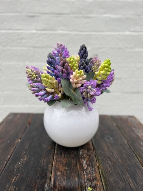 Hyacinth Vase Arrangement