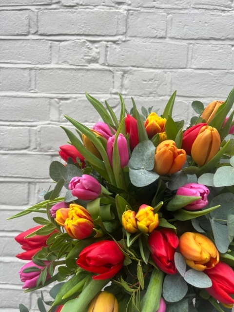 Tulip Bouquet